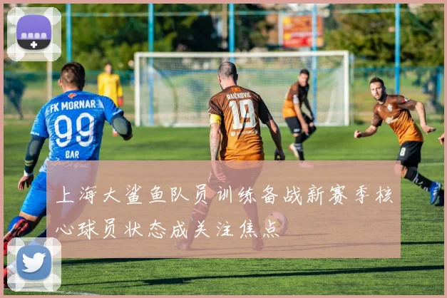 上海大鲨鱼队员训练备战新赛季核心球员状态成关注焦点