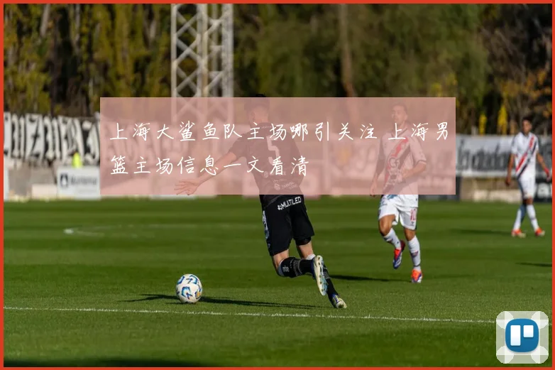 上海大鲨鱼队主场哪引关注 上海男篮主场信息一文看清