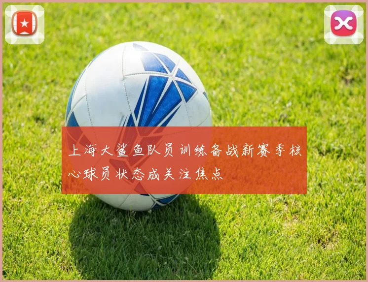 上海大鲨鱼队员训练备战新赛季核心球员状态成关注焦点
