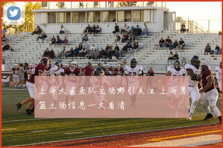 上海大鲨鱼队主场哪引关注 上海男篮主场信息一文看清